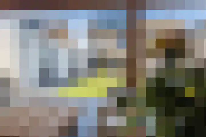 Dross Roststraat 29 Stein thumbnail 4