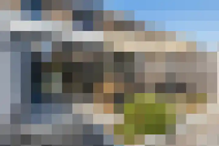 Dross Roststraat 29 Stein thumbnail 41