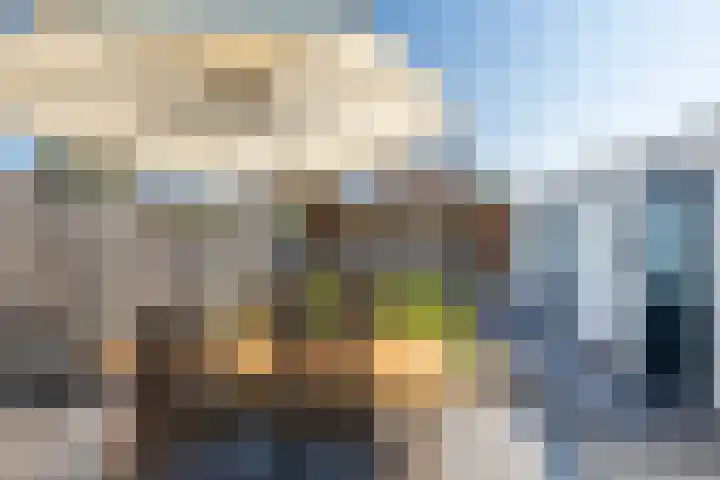 Dross Roststraat 29 Stein thumbnail 42