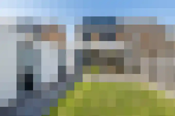 Dross Roststraat 29 Stein thumbnail 45
