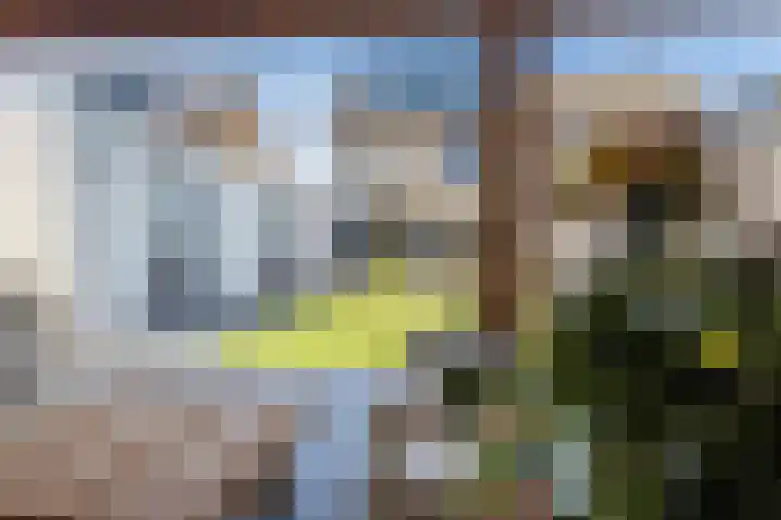 Dross Roststraat 29 Stein thumbnail 46