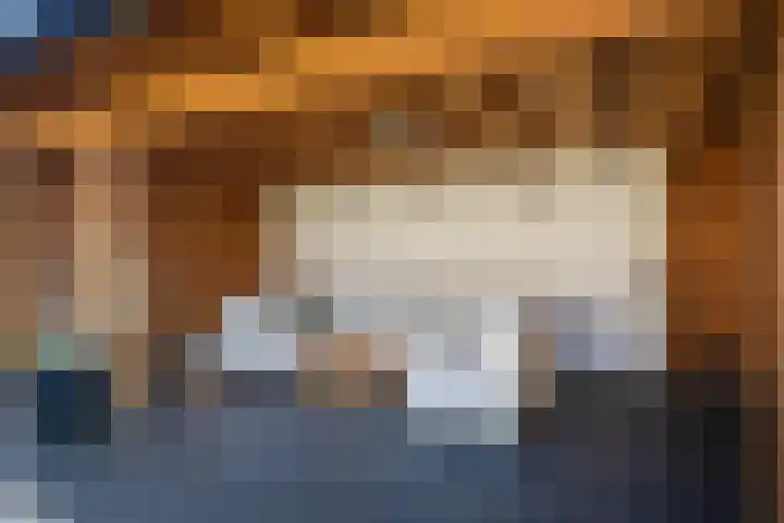 Dross Roststraat 29 Stein thumbnail 47