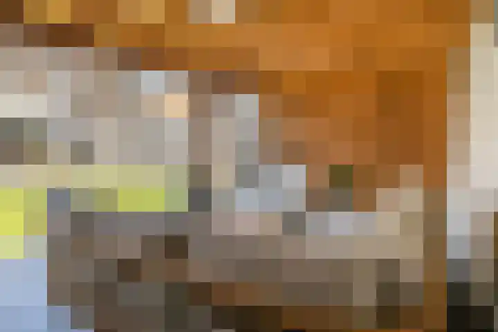 Dross Roststraat 29 Stein thumbnail 48