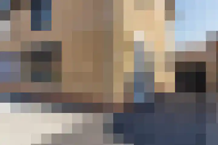 Dross Roststraat 29 Stein thumbnail 8