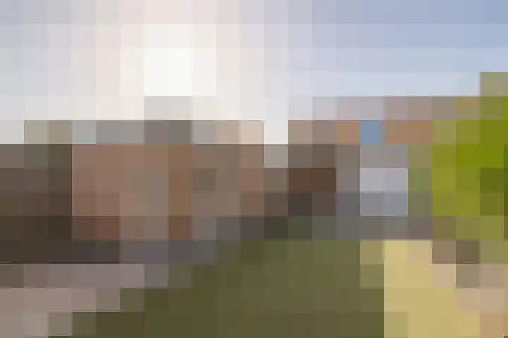 Dross Roststraat 37 Stein thumbnail 19
