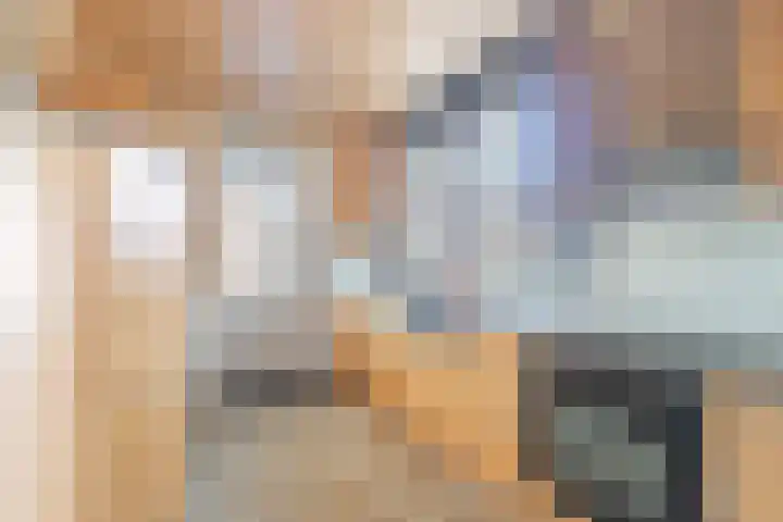 Dross Roststraat 37 Stein thumbnail 8