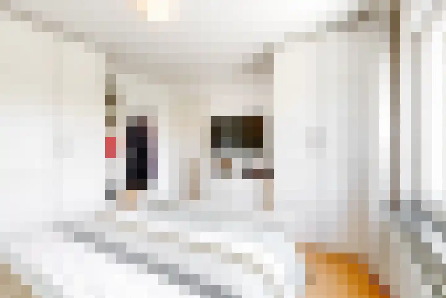 Dross van Bewerstraat 31 Stein thumbnail 13