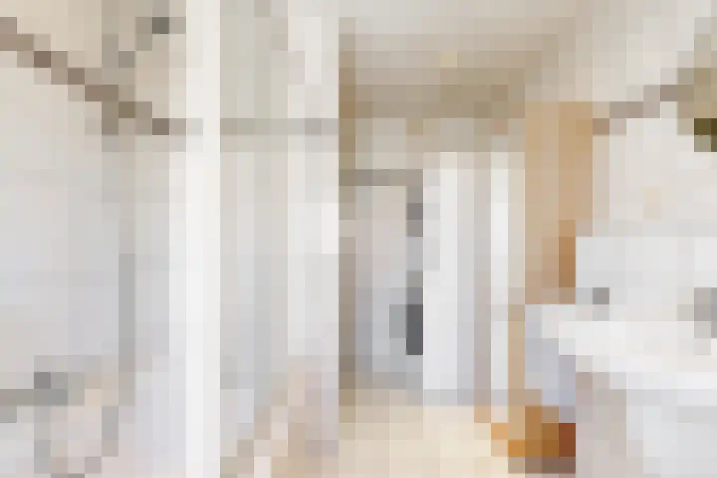 Dross van Bewerstraat 31 Stein thumbnail 17