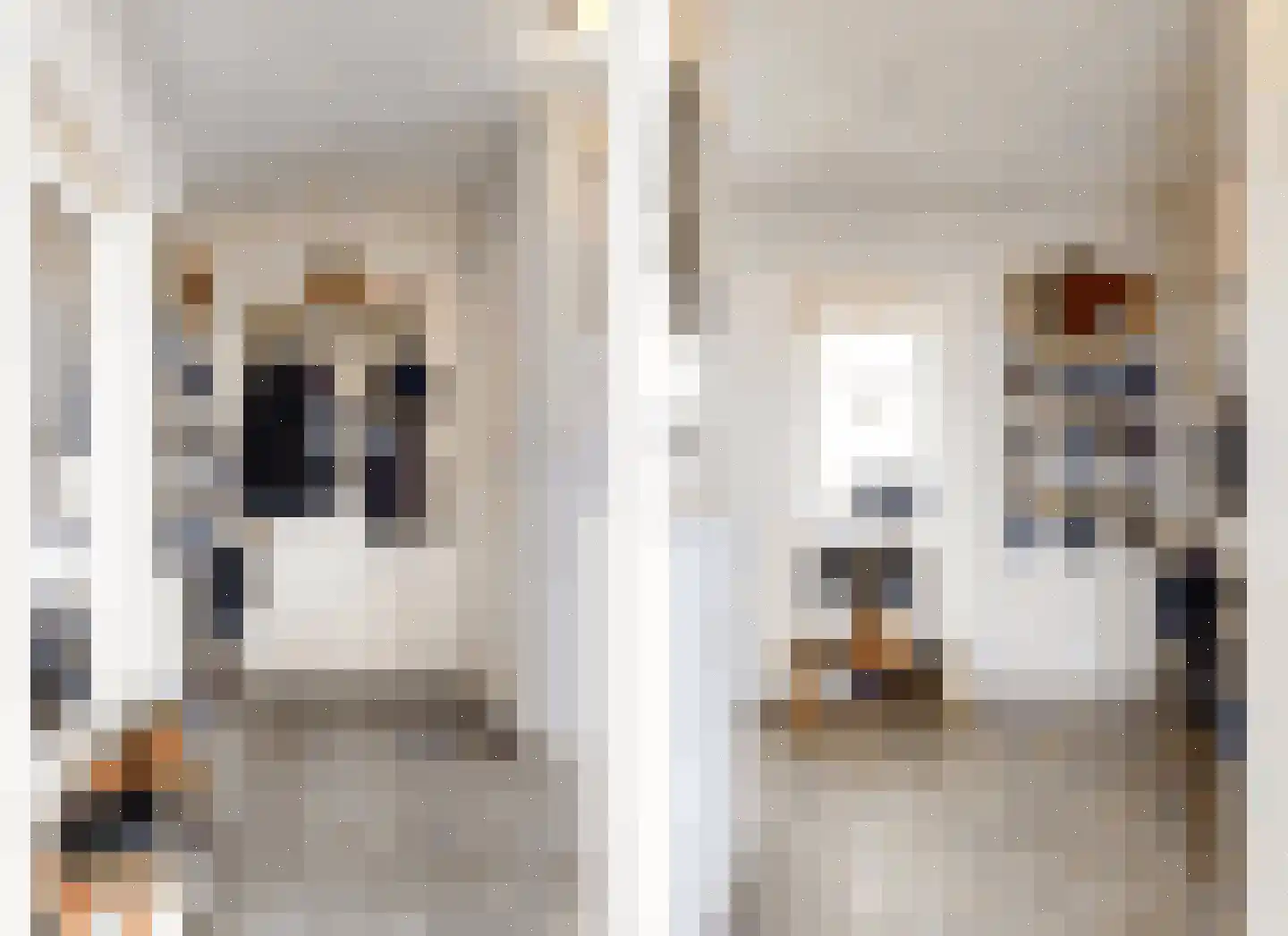Dross van Bewerstraat 31 Stein thumbnail 18