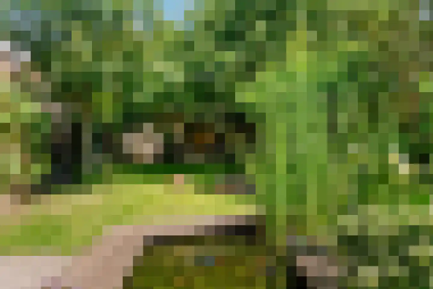 Dross van Bewerstraat 31 Stein thumbnail 24