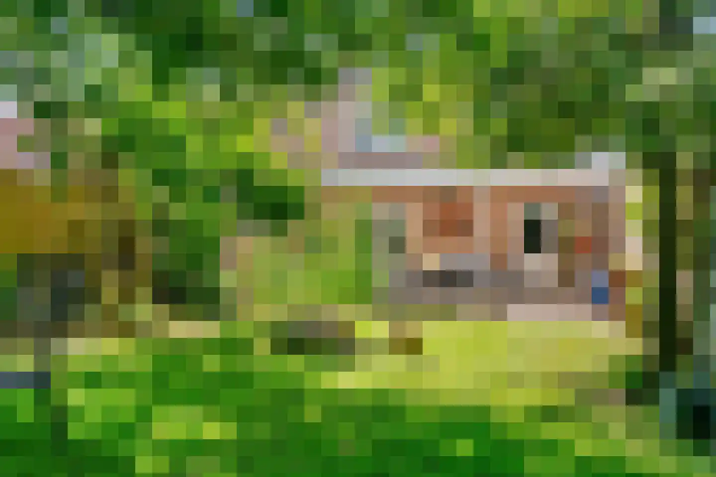 Dross van Bewerstraat 31 Stein thumbnail 26