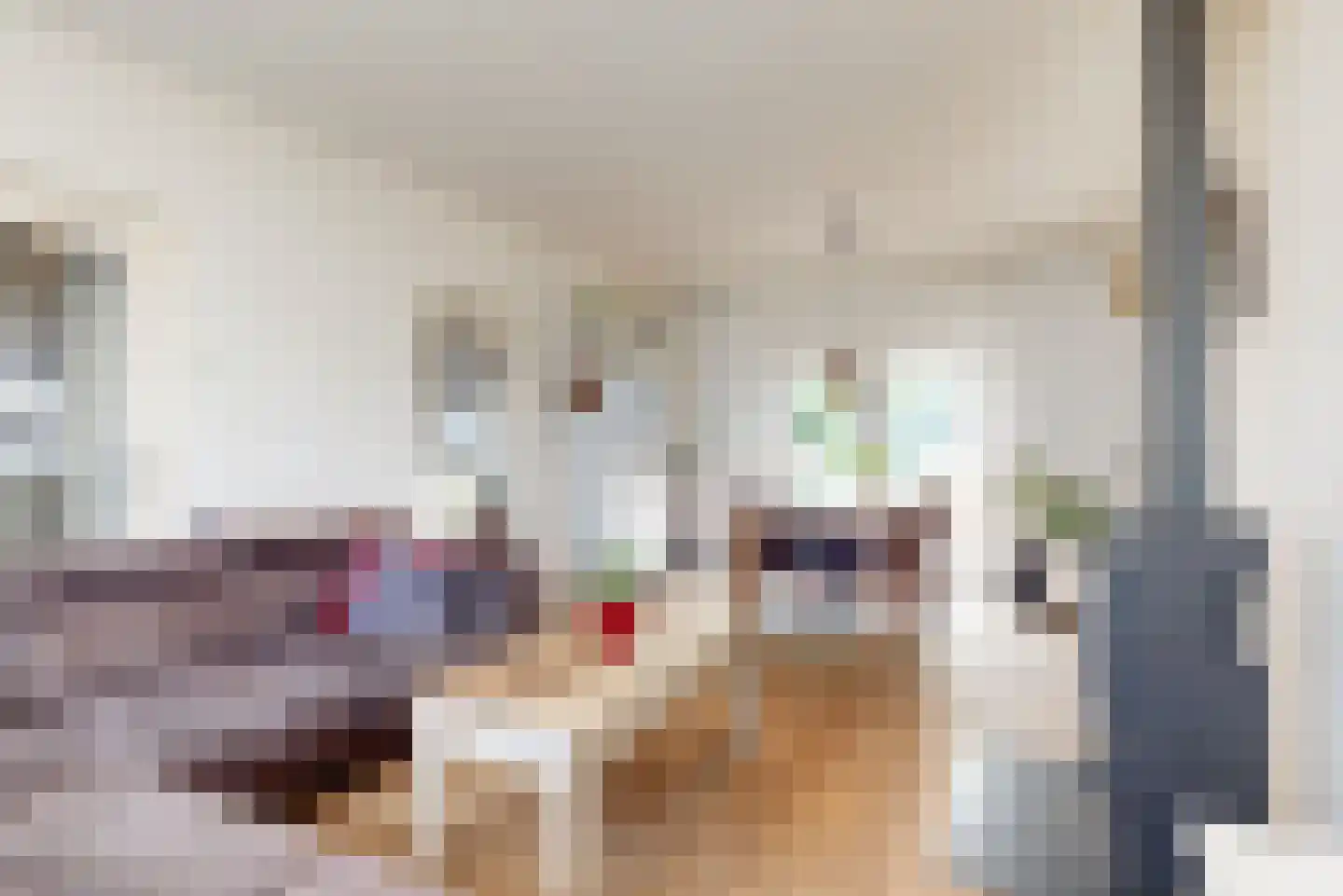 Dross van Bewerstraat 31 Stein thumbnail 4