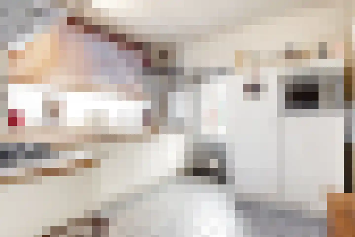 Dross van Bewerstraat 31 Stein thumbnail 7