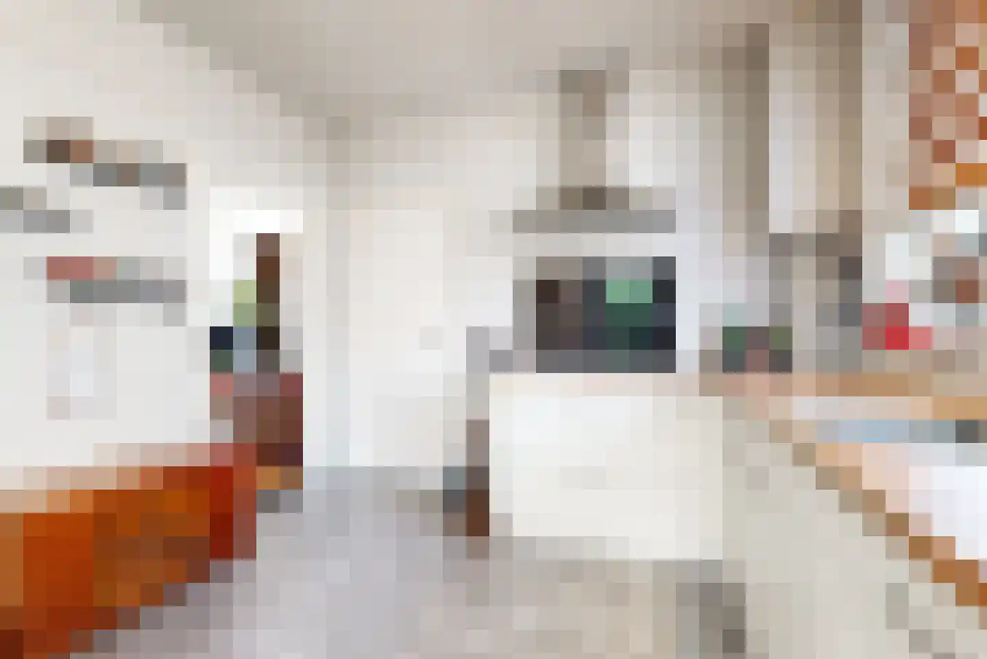 Dross van Bewerstraat 31 Stein thumbnail 9