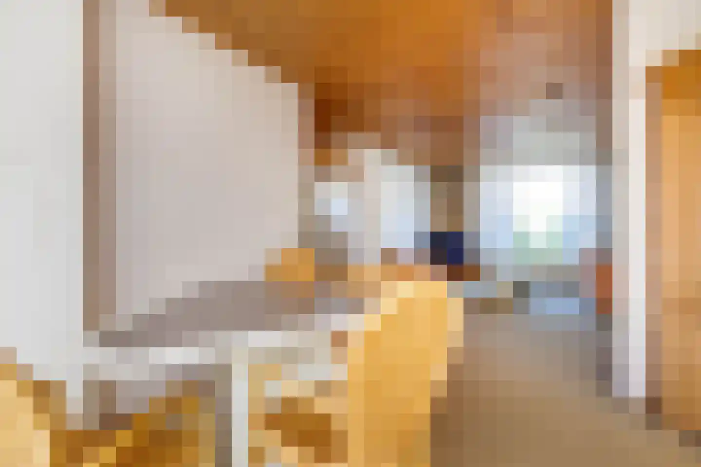Dross van Zuenestraat 2 Elsloo thumbnail 17