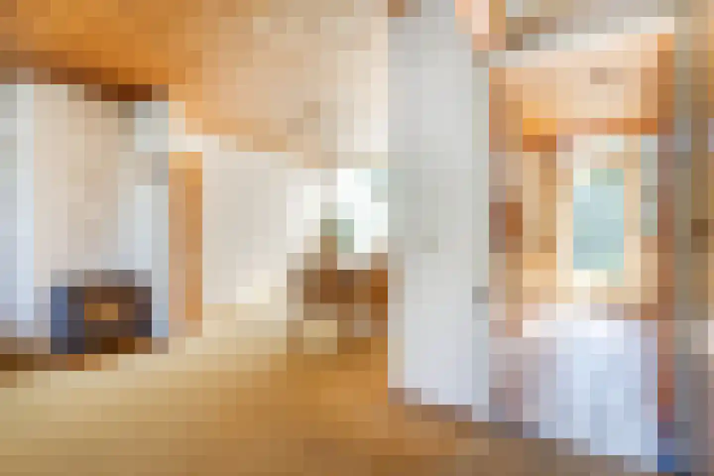 Dross van Zuenestraat 2 Elsloo thumbnail 21