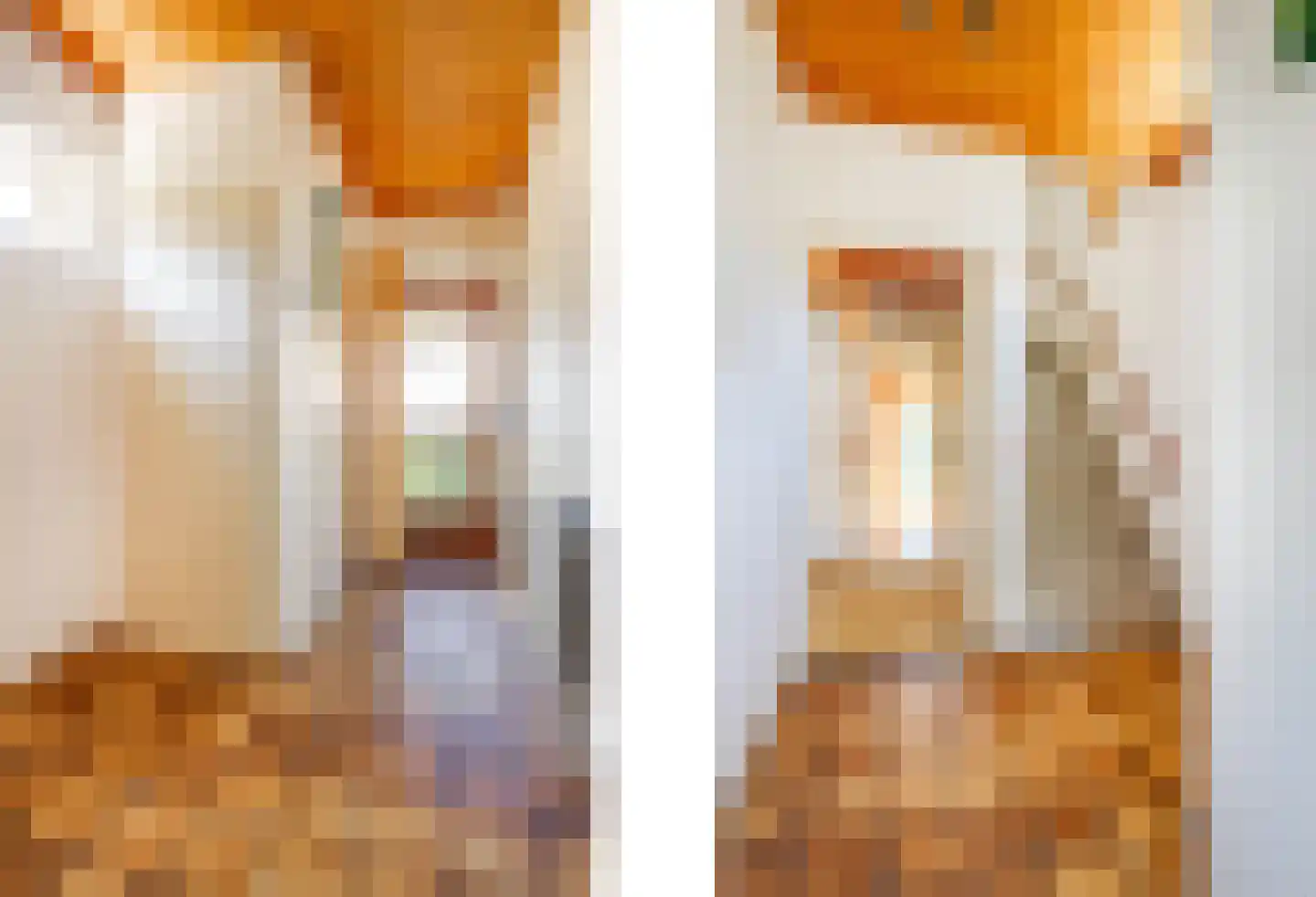 Dross van Zuenestraat 2 Elsloo thumbnail 25