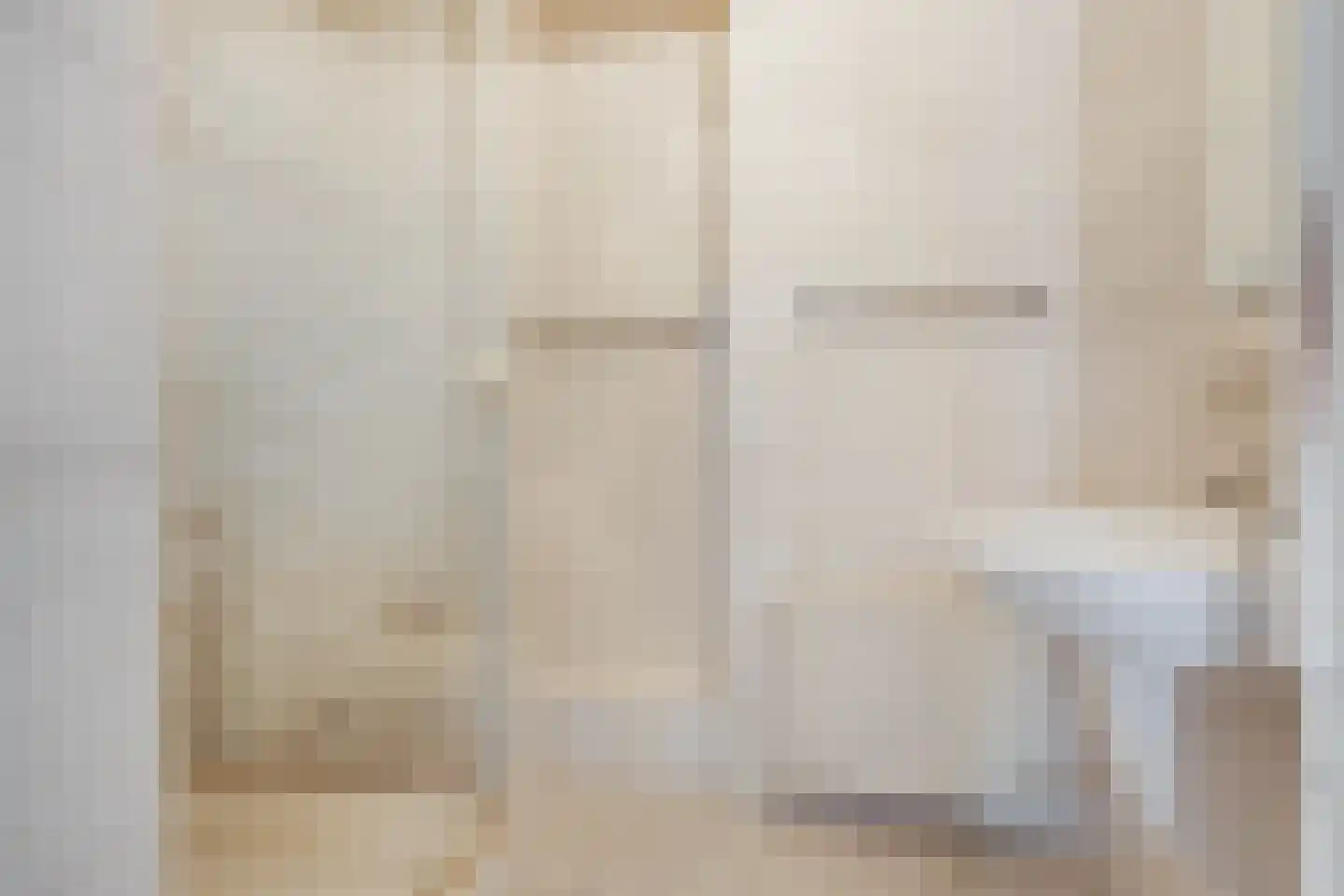 Dross van Zuenestraat 2 Elsloo thumbnail 33