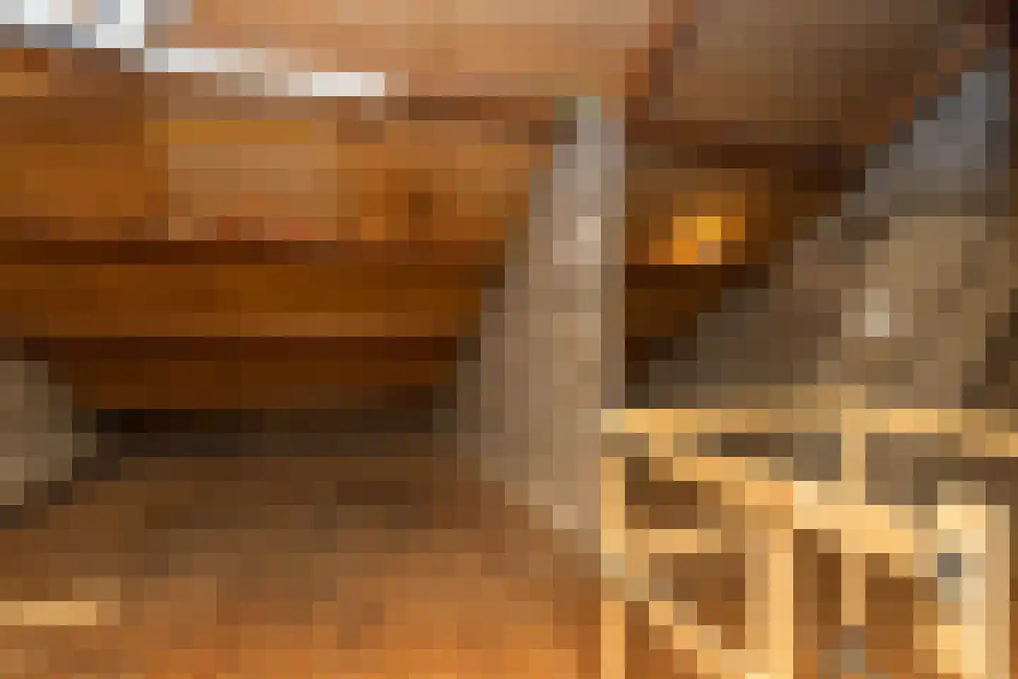 Dross van Zuenestraat 2 Elsloo thumbnail 36