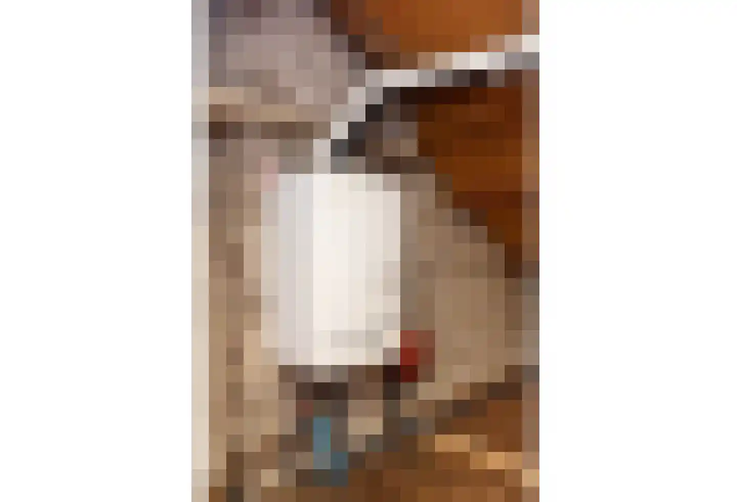Dross van Zuenestraat 2 Elsloo thumbnail 38