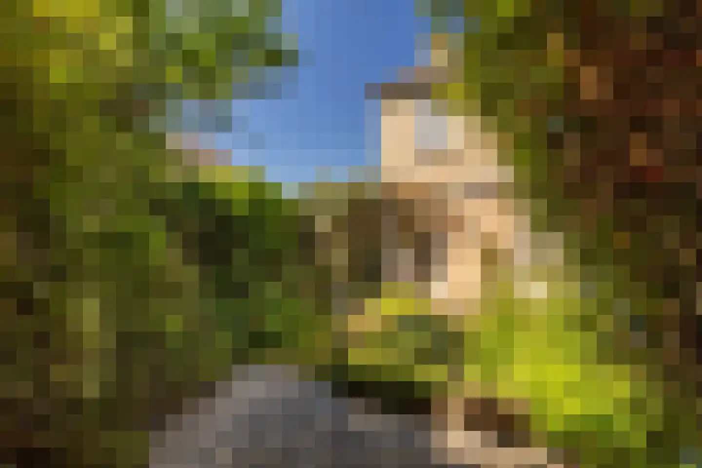 Dross van Zuenestraat 2 Elsloo thumbnail 42
