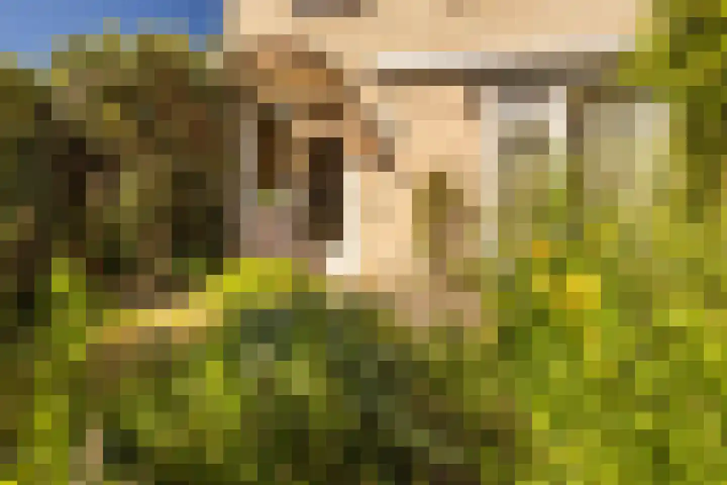 Dross van Zuenestraat 2 Elsloo thumbnail 45