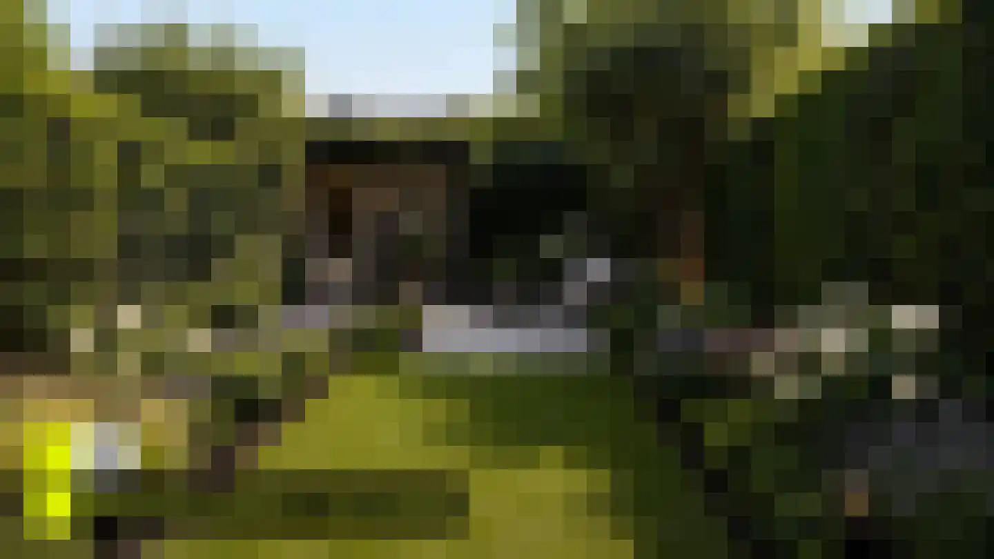 Dross van Zuenestraat 2 Elsloo thumbnail 47