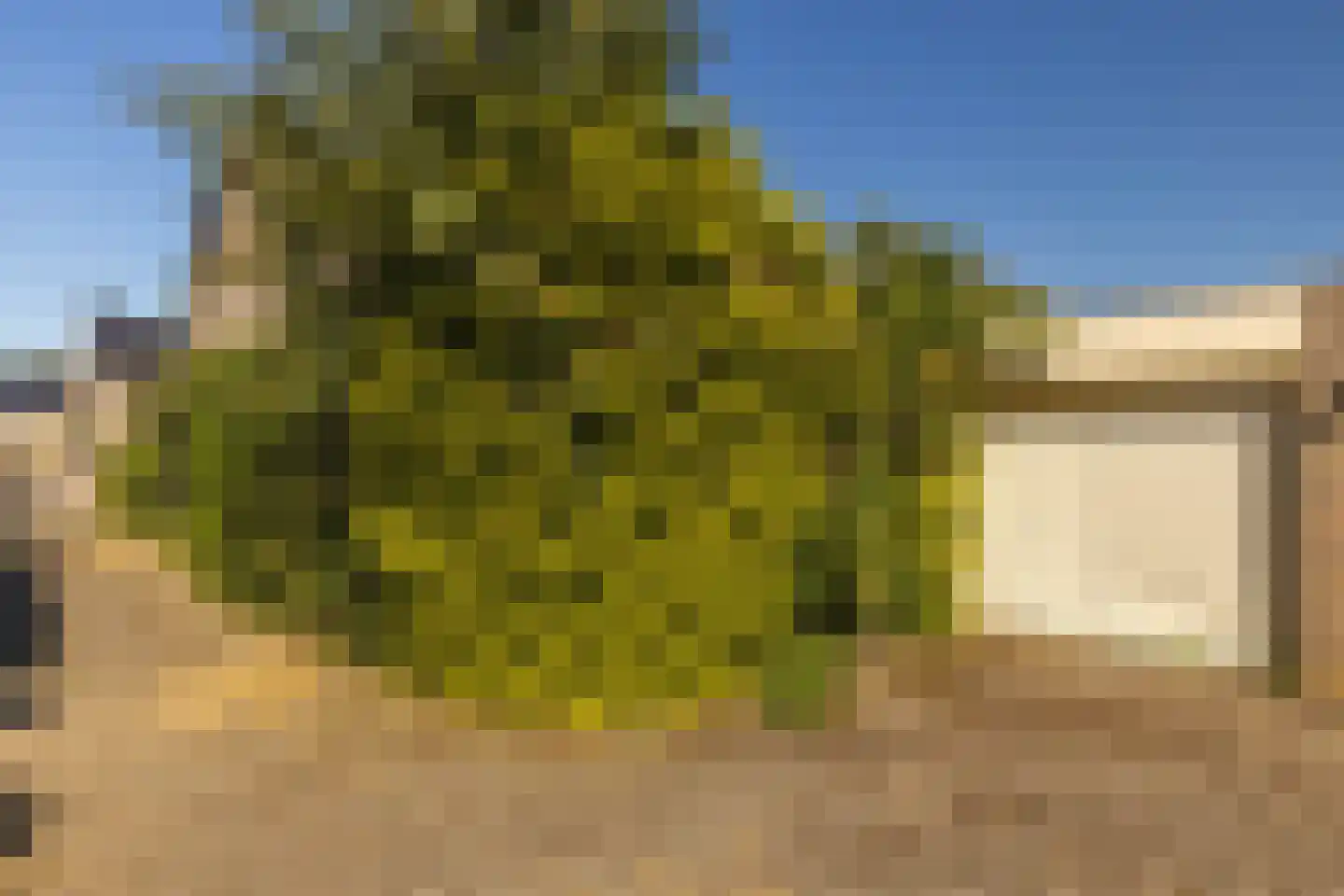 Dross van Zuenestraat 2 Elsloo thumbnail 50