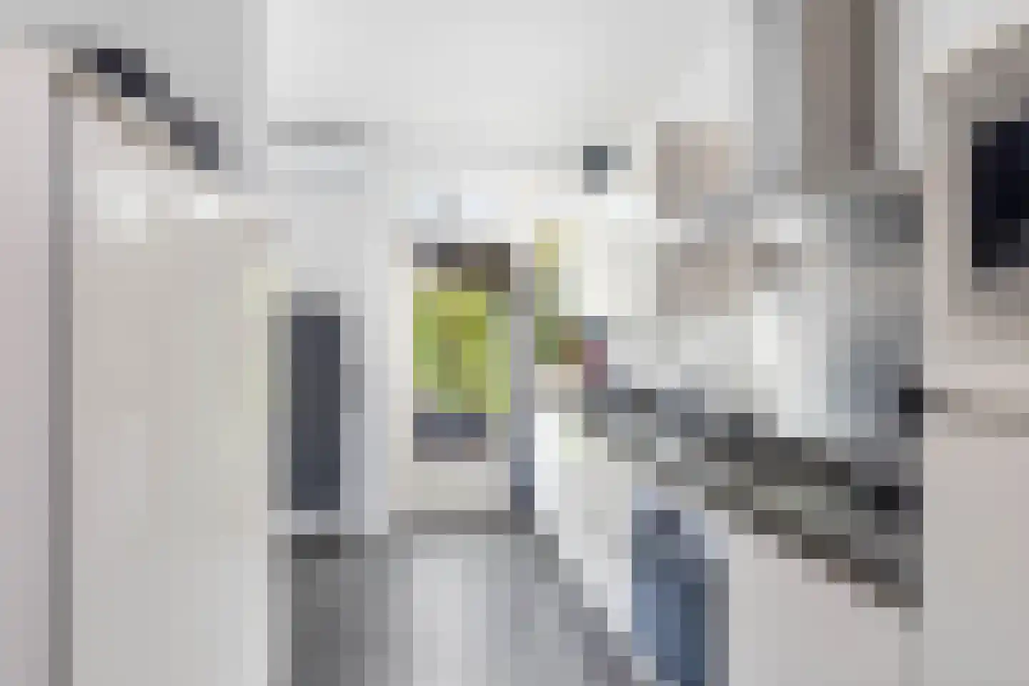 Dross van Zuenestraat 4 Elsloo thumbnail 21