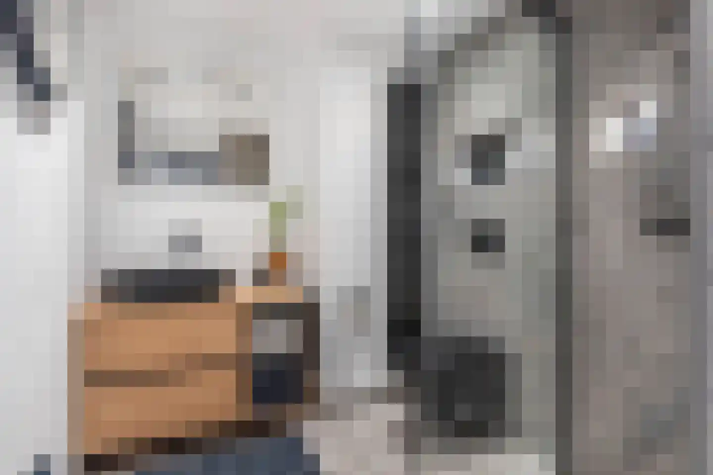 Dross van Zuenestraat 4 Elsloo thumbnail 27