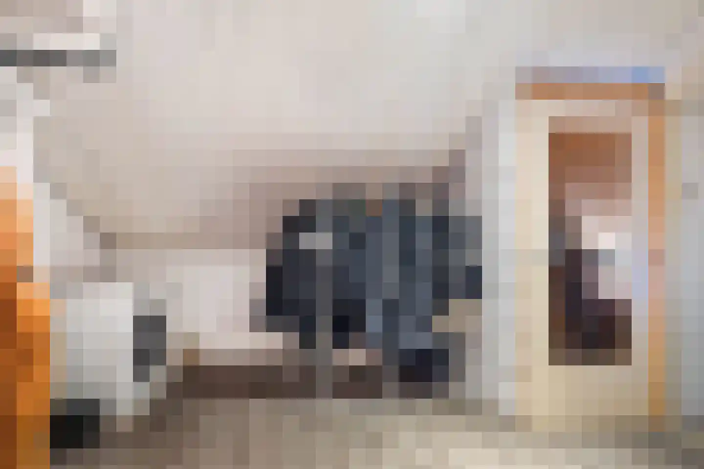 Dross van Zuenestraat 4 Elsloo thumbnail 30
