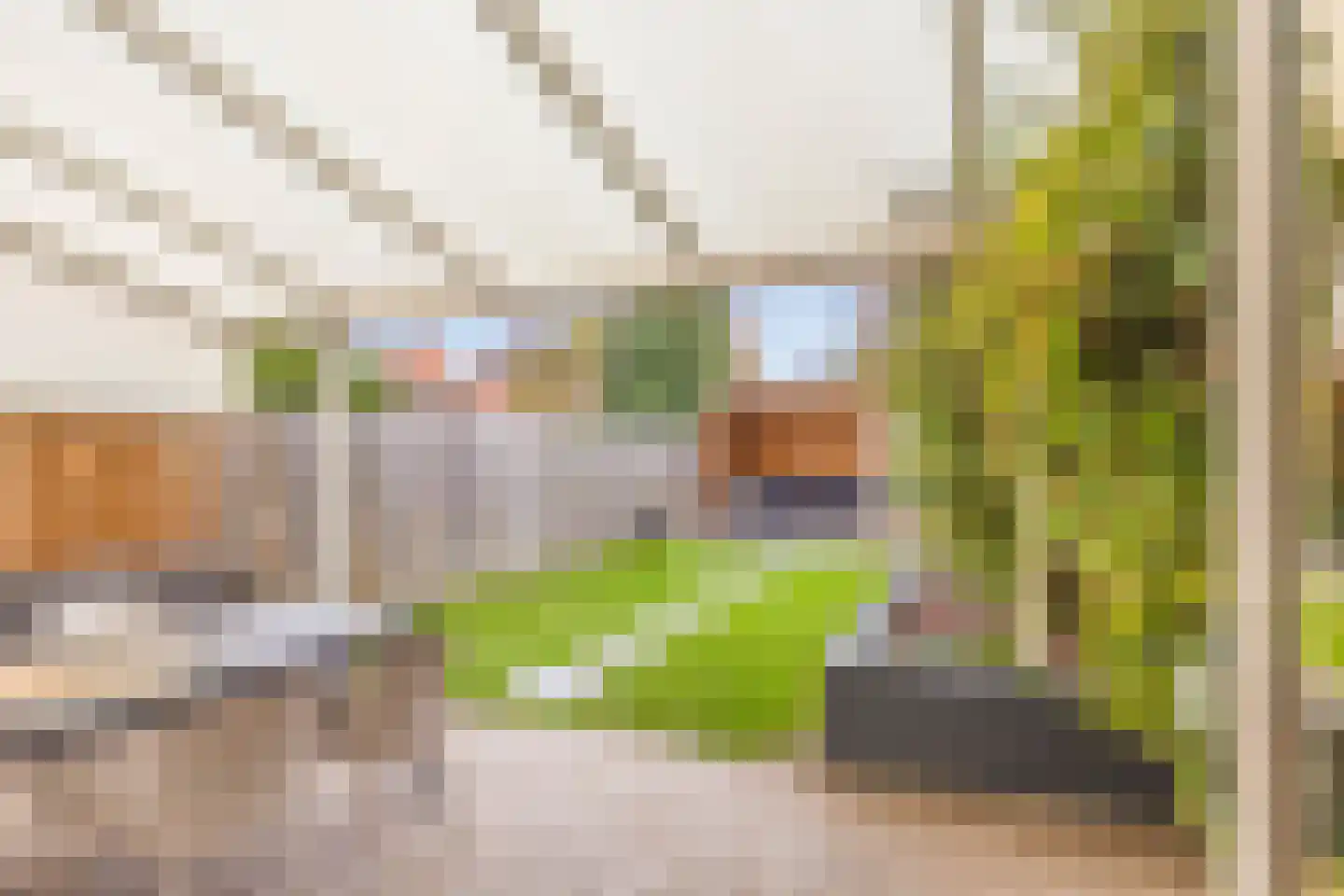 Dross van Zuenestraat 4 Elsloo thumbnail 33