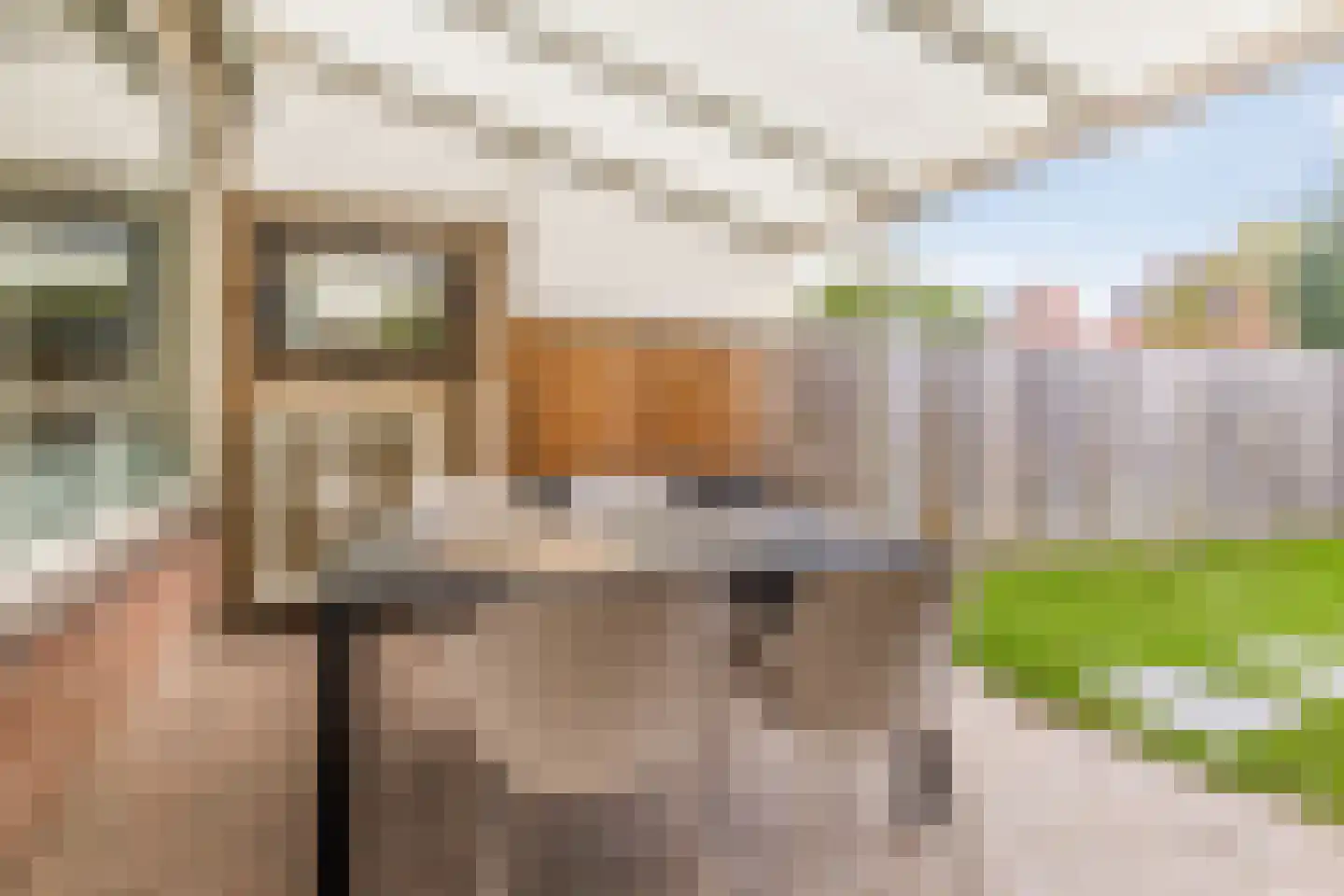 Dross van Zuenestraat 4 Elsloo thumbnail 34