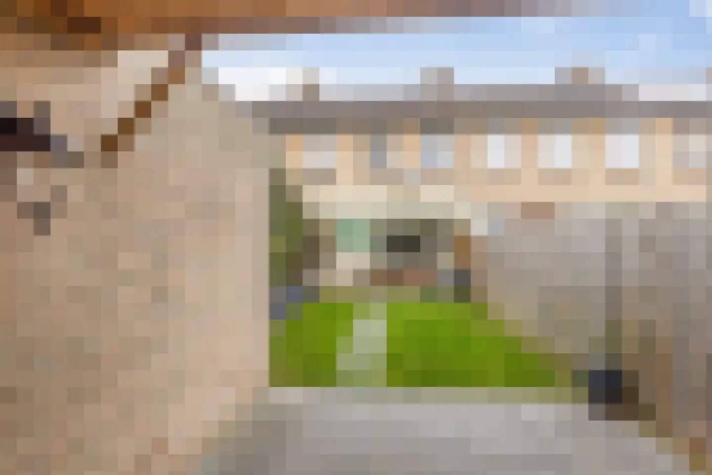 Dross van Zuenestraat 4 Elsloo thumbnail 38