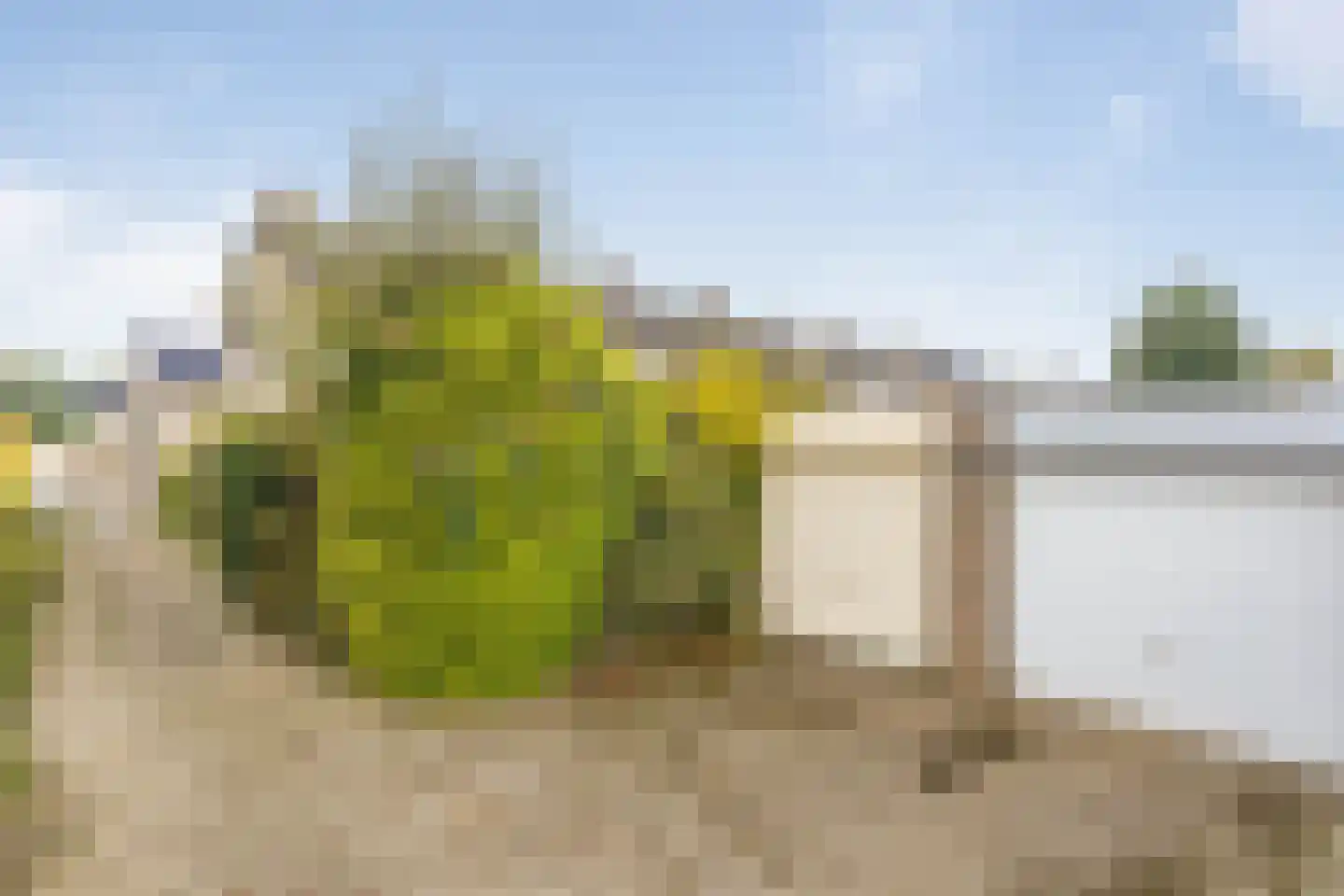 Dross van Zuenestraat 4 Elsloo thumbnail 41