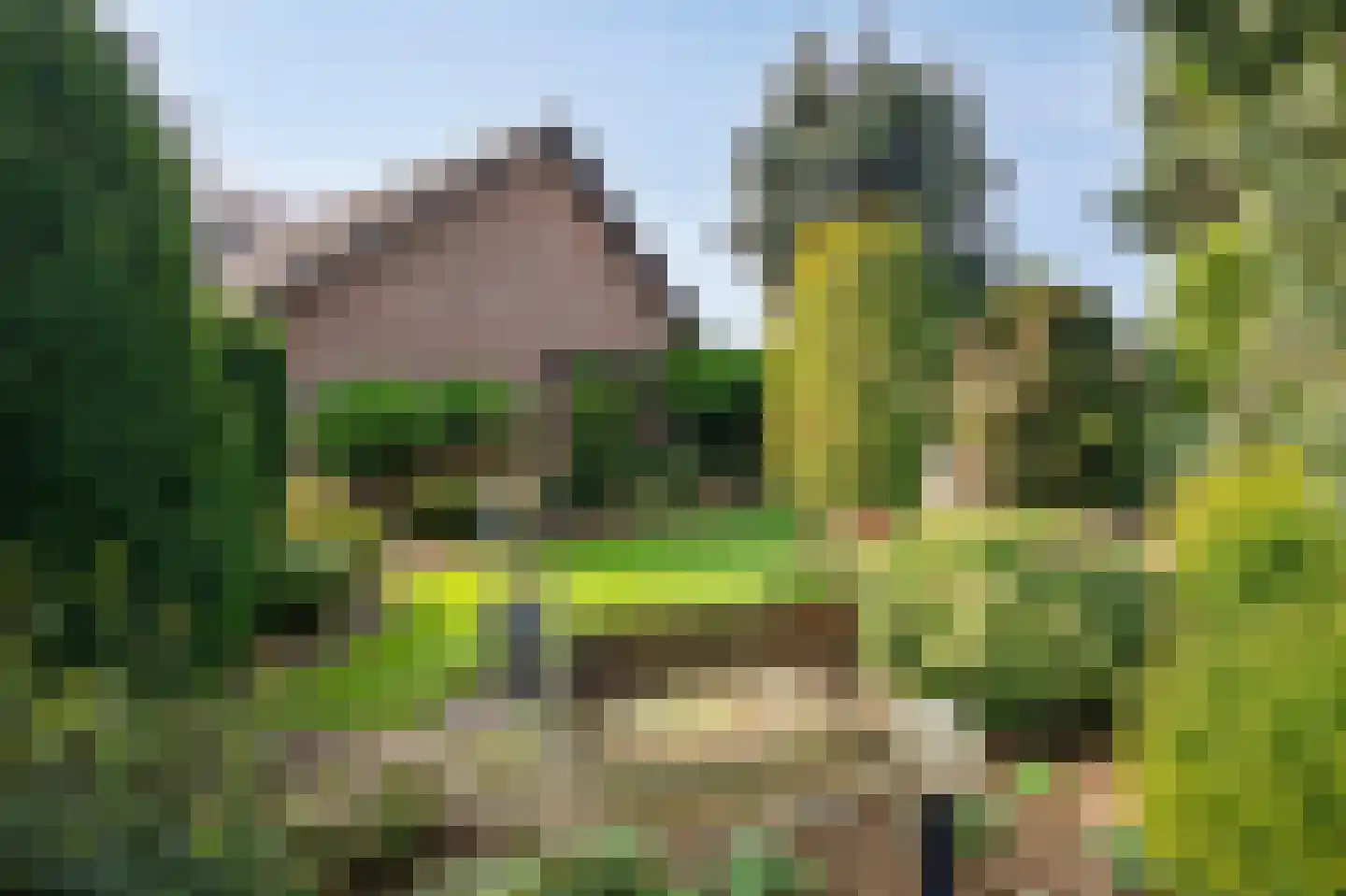 Dross vd Weijdenplein 4 Stein thumbnail 11