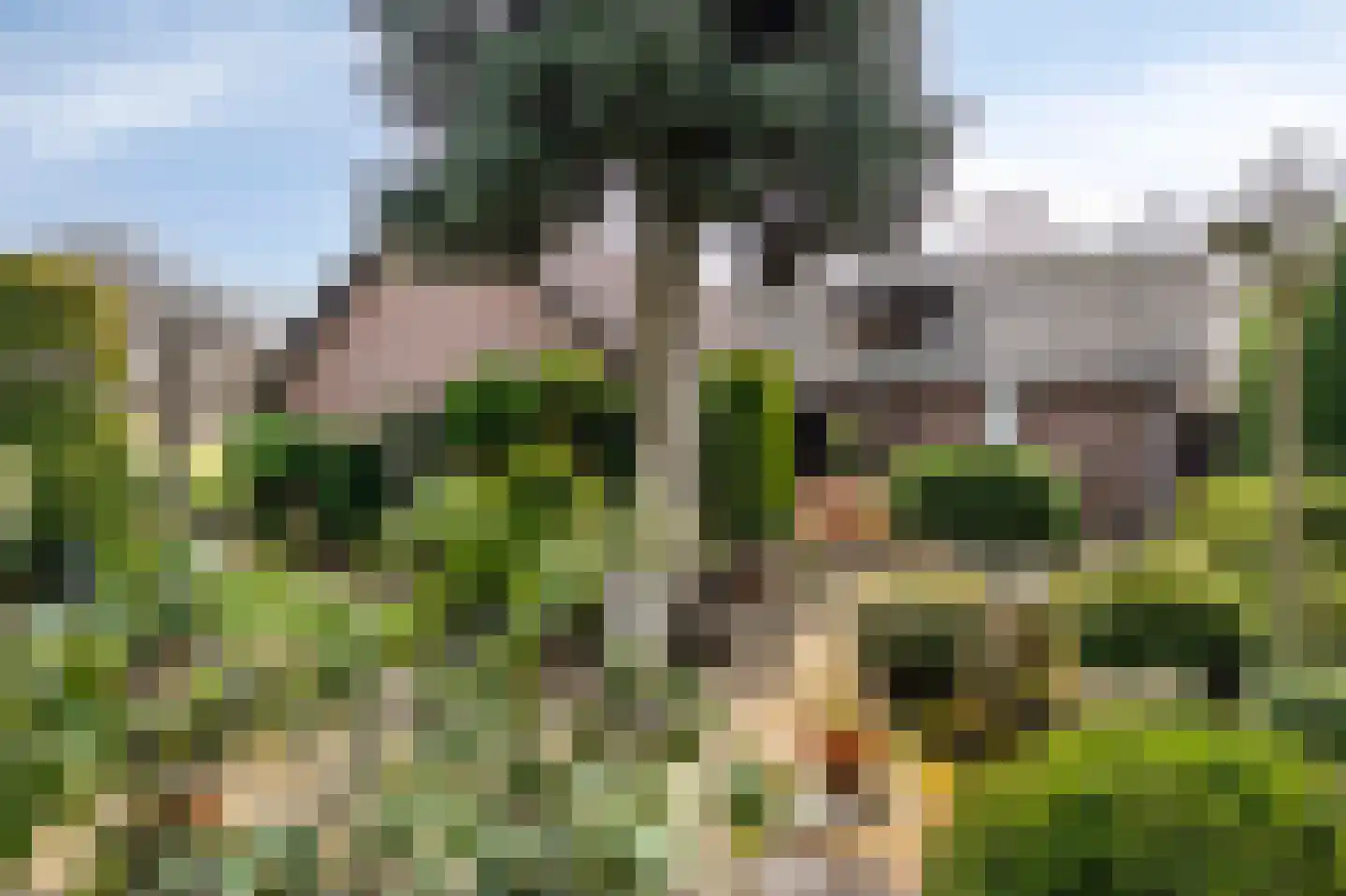 Dross vd Weijdenplein 4 Stein thumbnail 12