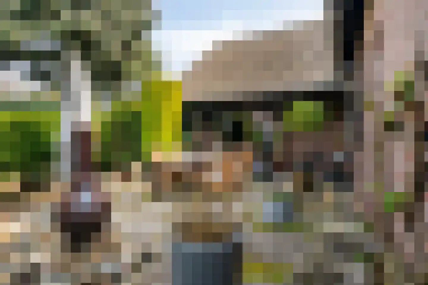 Dross vd Weijdenplein 4 Stein thumbnail 14