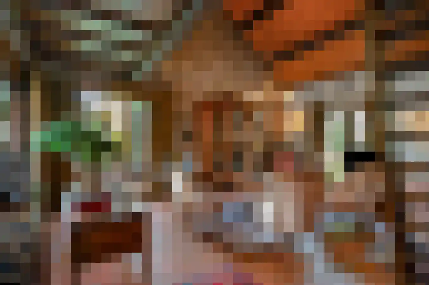 Dross vd Weijdenplein 4 Stein thumbnail 15