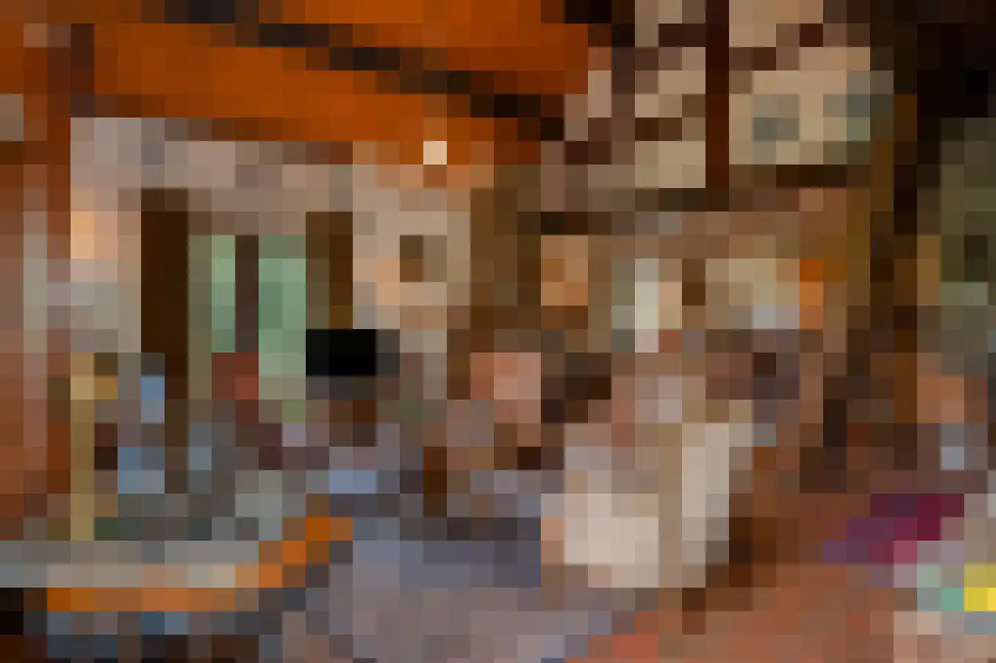 Dross vd Weijdenplein 4 Stein thumbnail 16