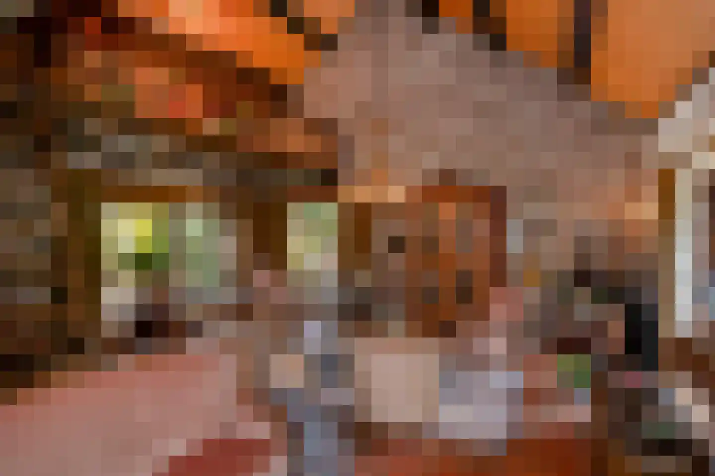 Dross vd Weijdenplein 4 Stein thumbnail 19