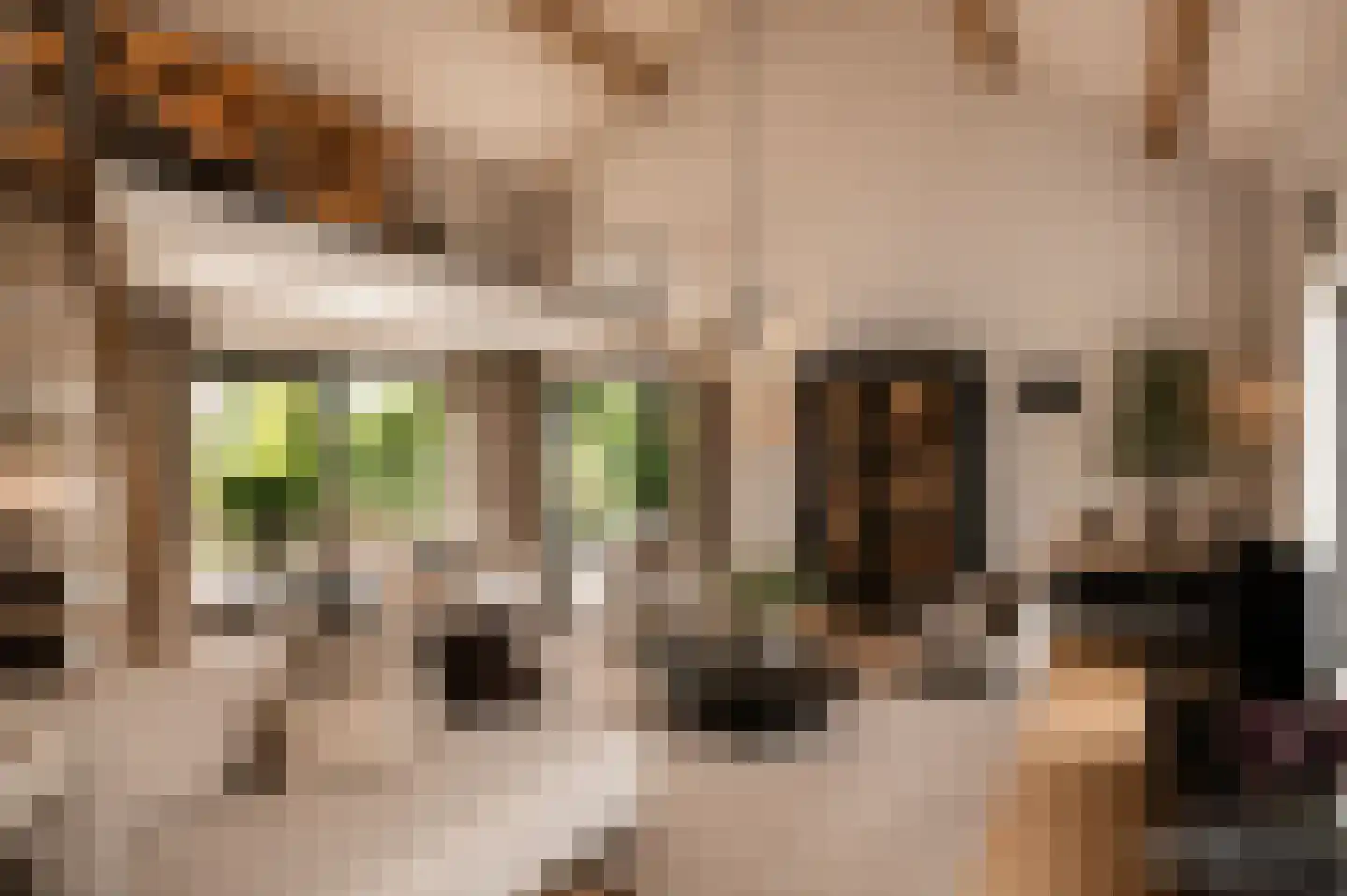 Dross vd Weijdenplein 4 Stein thumbnail 20
