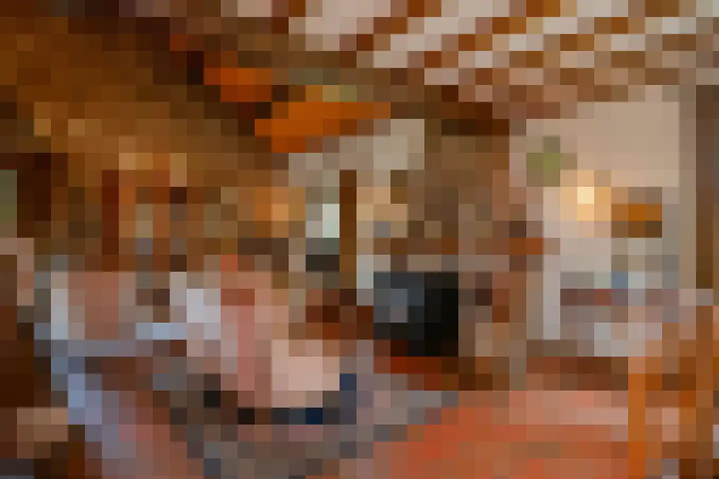 Dross vd Weijdenplein 4 Stein thumbnail 24