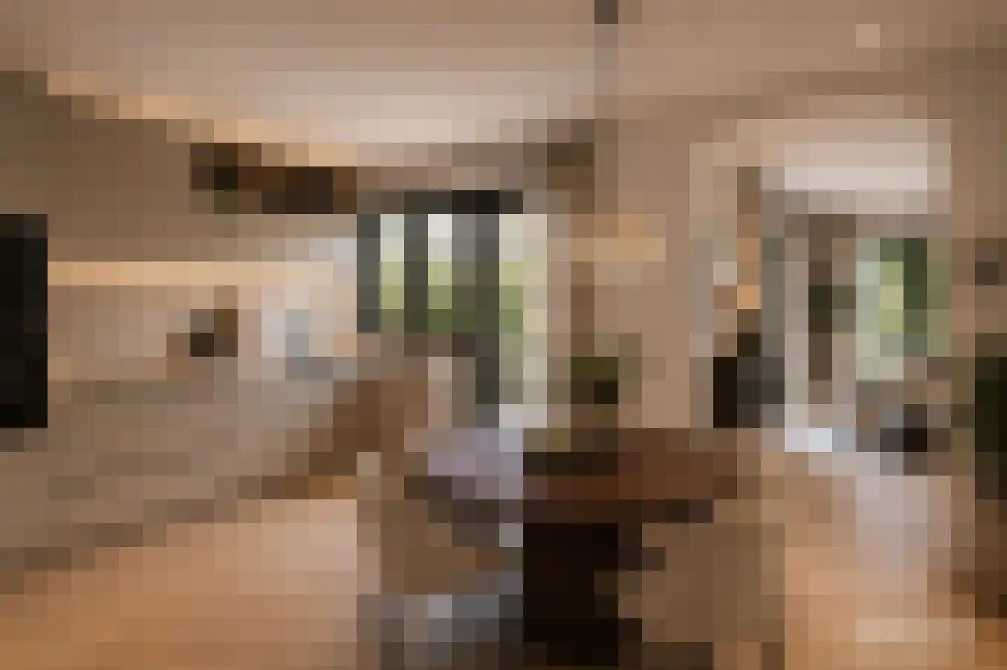 Dross vd Weijdenplein 4 Stein thumbnail 27