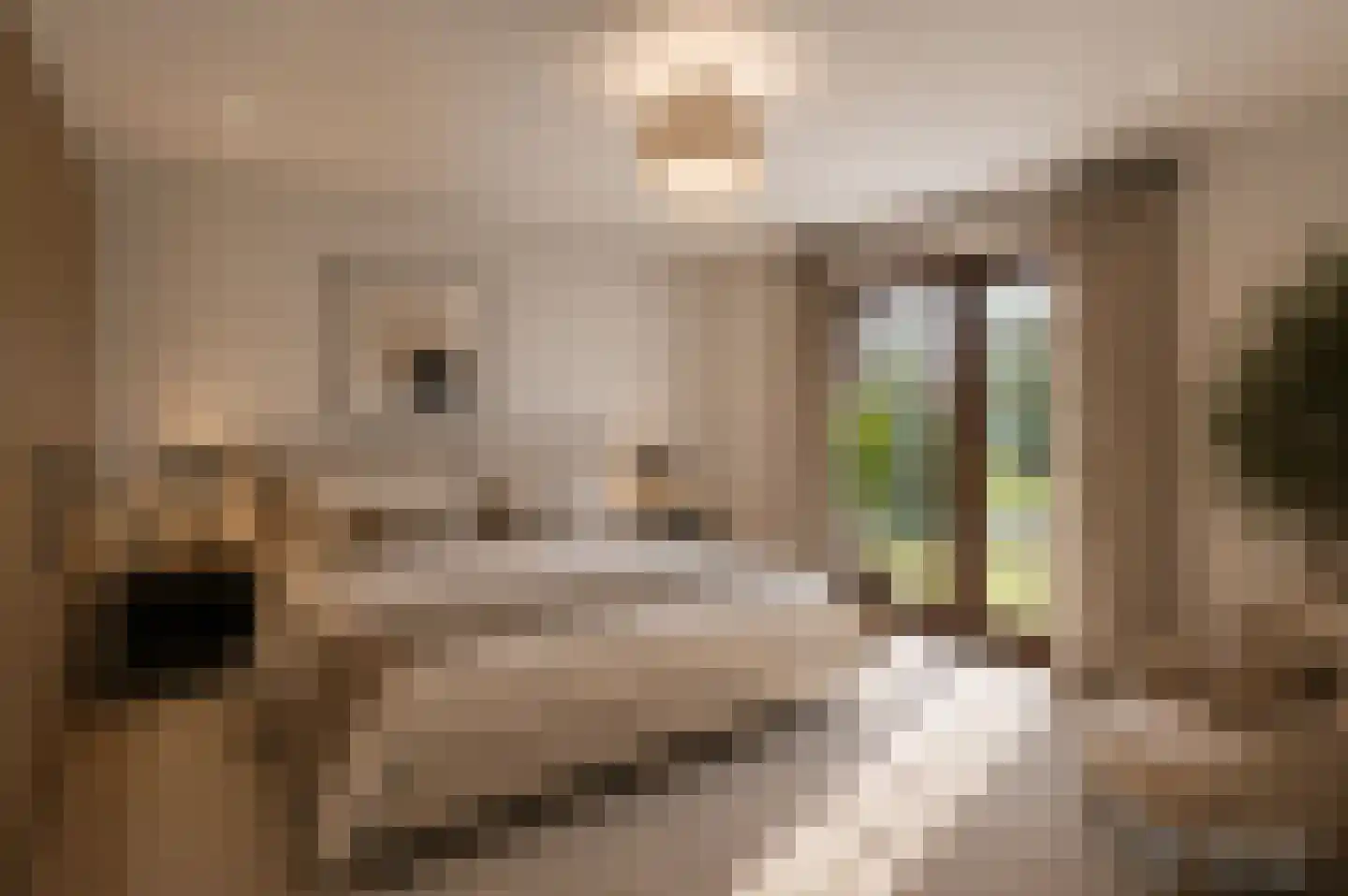 Dross vd Weijdenplein 4 Stein thumbnail 33