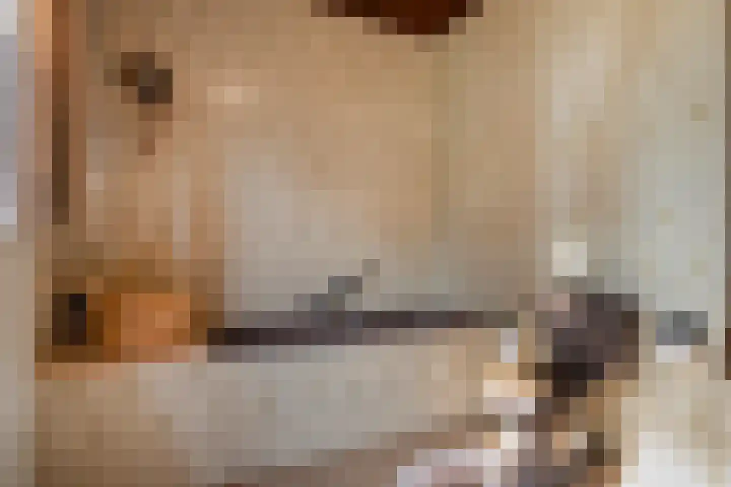 Dross vd Weijdenplein 4 Stein thumbnail 39