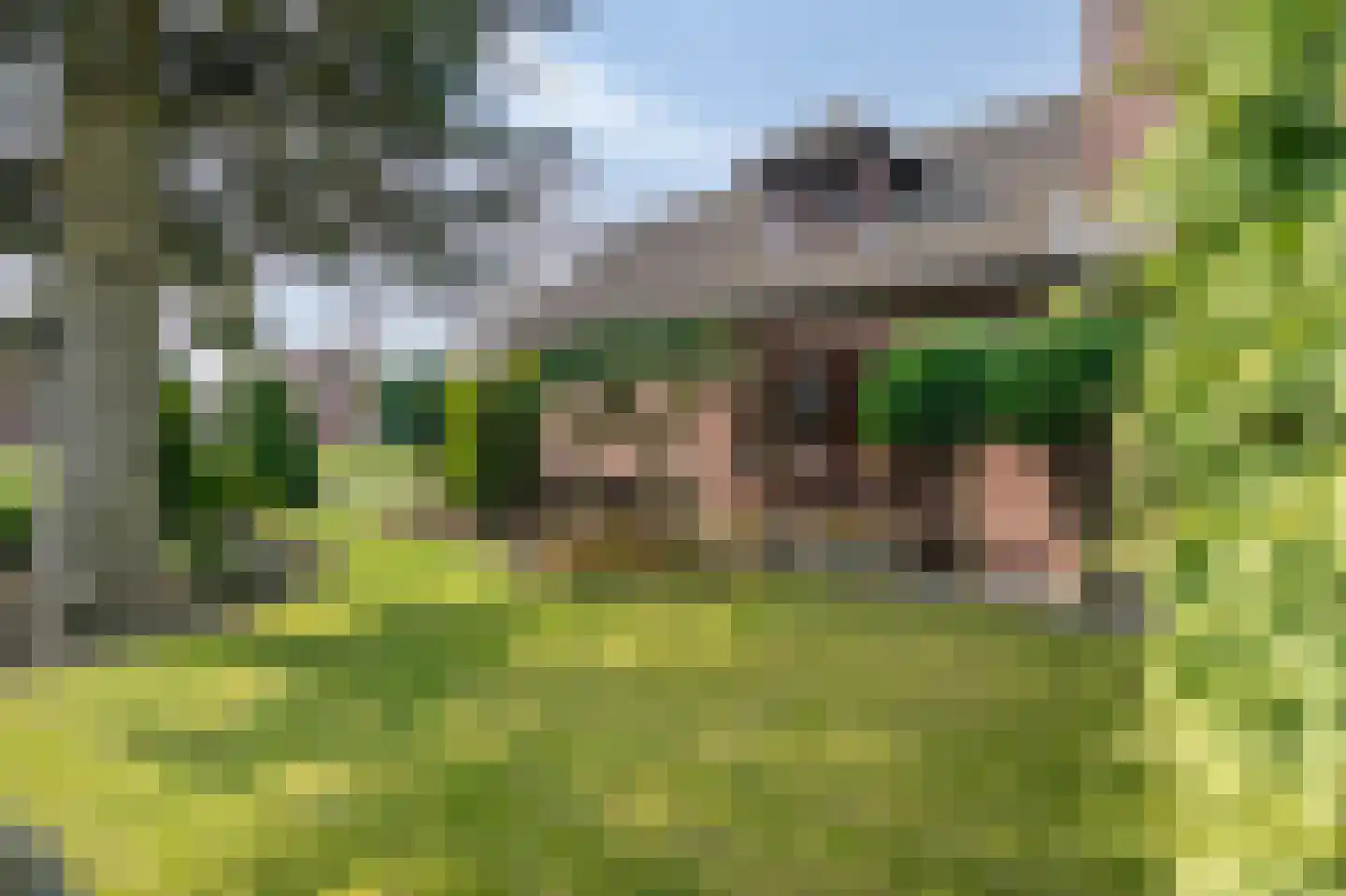 Dross vd Weijdenplein 4 Stein thumbnail 4
