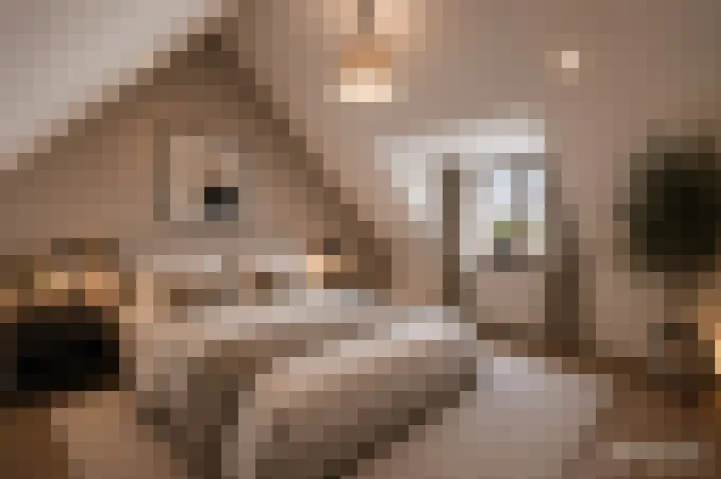 Dross vd Weijdenplein 4 Stein thumbnail 43