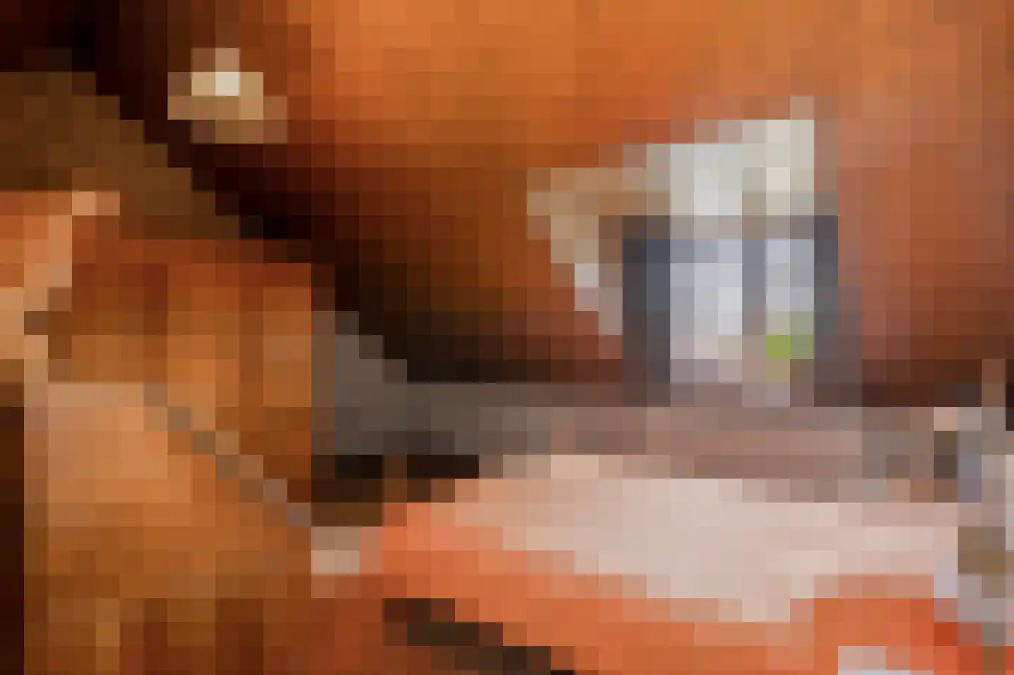 Dross vd Weijdenplein 4 Stein thumbnail 45