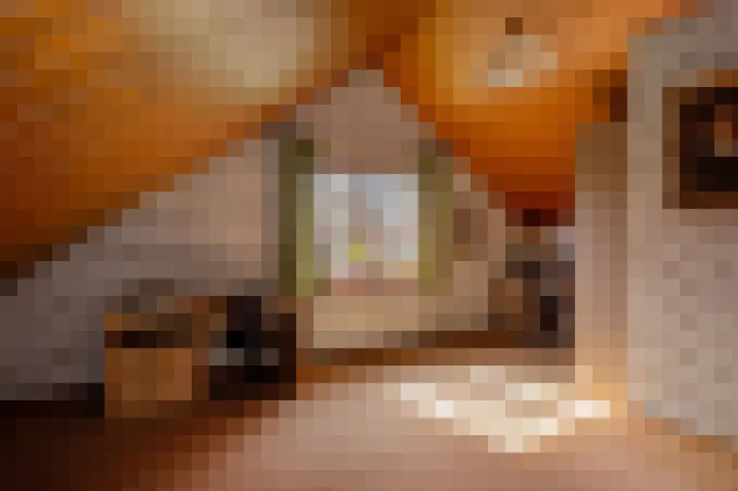 Dross vd Weijdenplein 4 Stein thumbnail 47